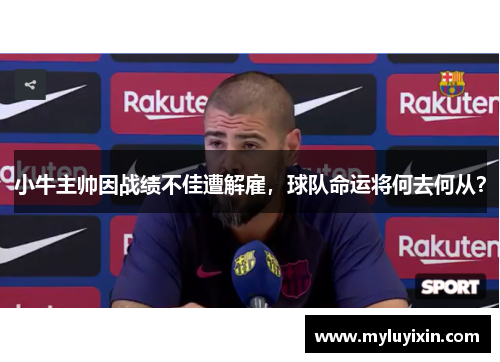 小牛主帅因战绩不佳遭解雇，球队命运将何去何从？