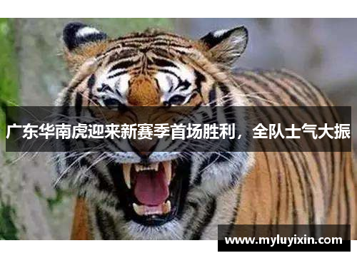广东华南虎迎来新赛季首场胜利，全队士气大振